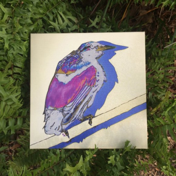 Magnificent Bird - Original Wall Art print on 12 x 12 canvas - Picture 6 of 6